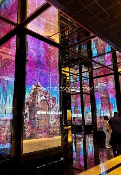 Newcastle escorts Kylie — 4