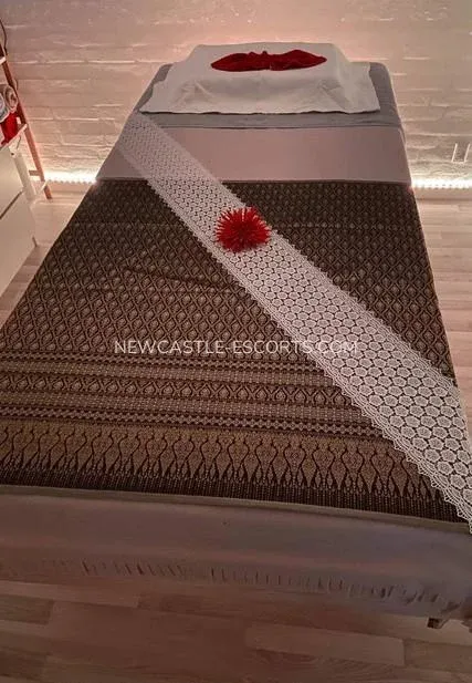 Newcastle escorts Milena — 1