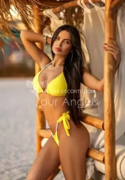 Newcastle escorts Briana — 7