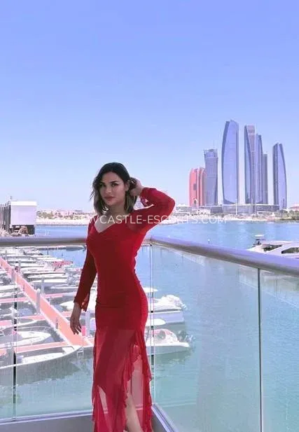 Newcastle escorts Sophie — 7