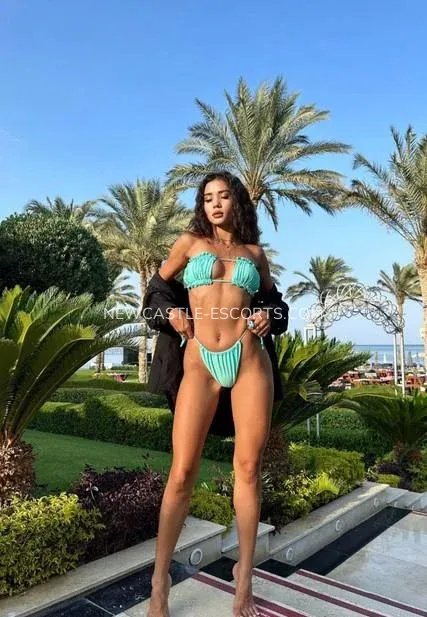 Newcastle escorts Britt — 1